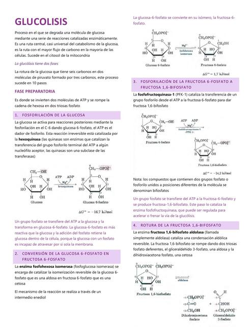 Glucolisis