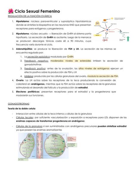 Ciclo sexual femenino