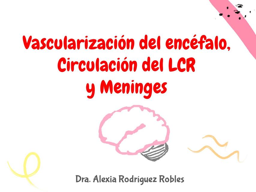 Vascularización del encéfalo Circulación del LCR y Meninges