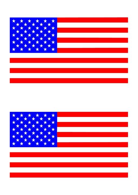 BANDERA USA DEFINITIVO