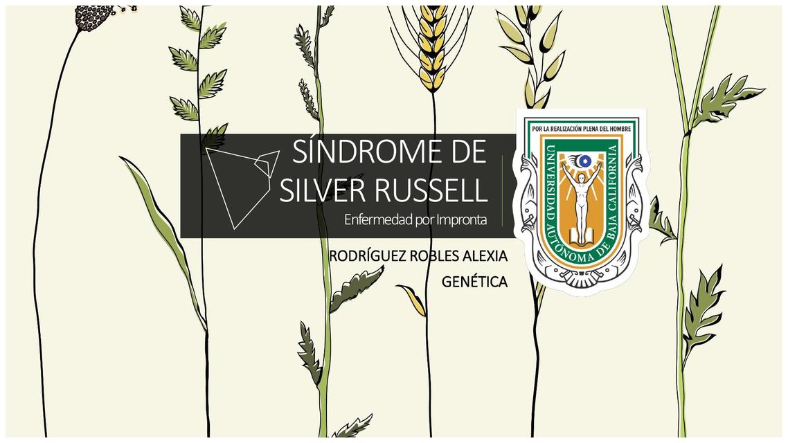 SÍNDROME DE SILVER RUSSELL