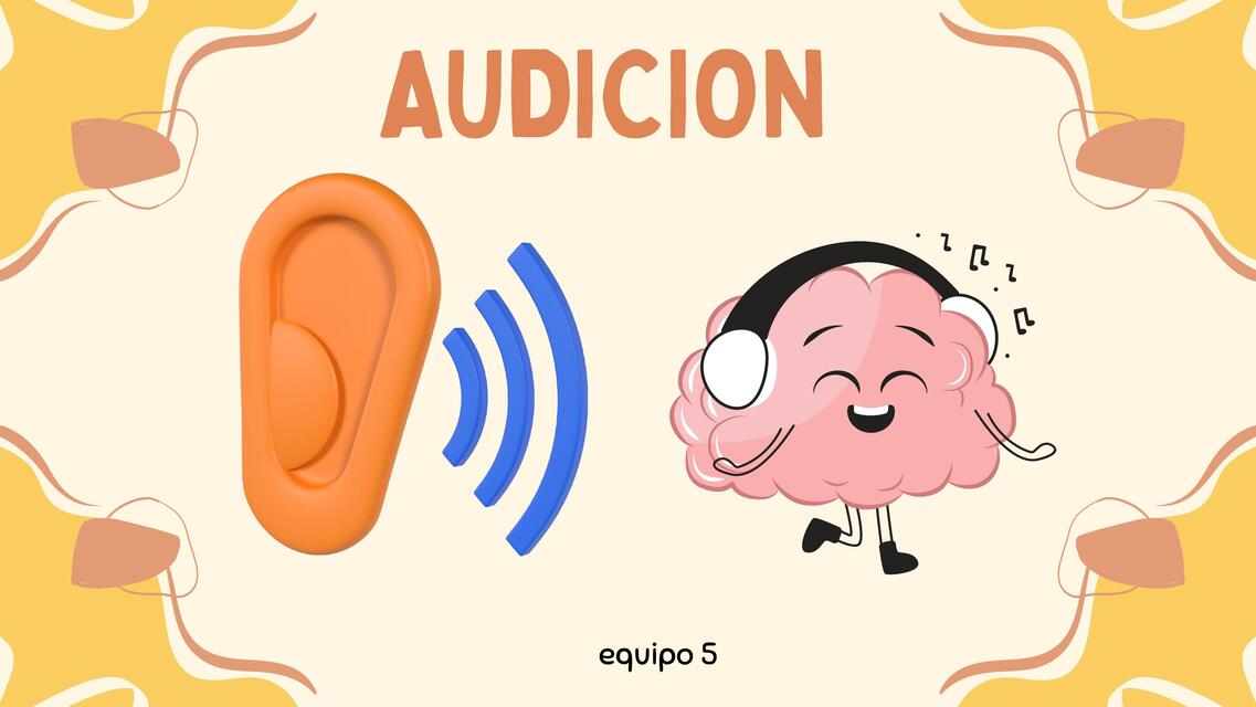 Fisiologia Audicion