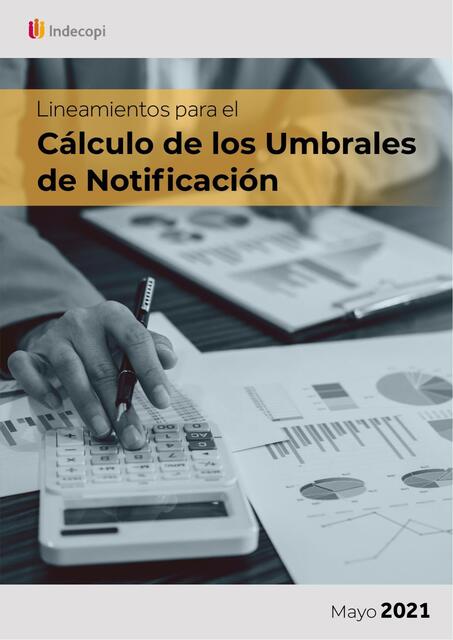 Lineamientos para el Cálculo de los Umbrales de No