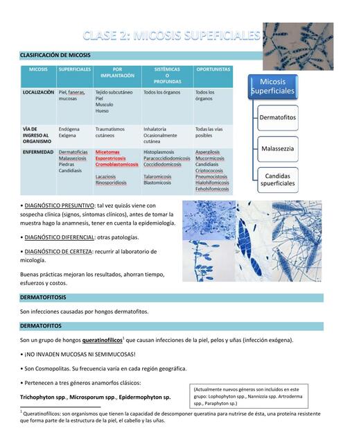 MICOLOGÍA CLASE 2 MICRO II