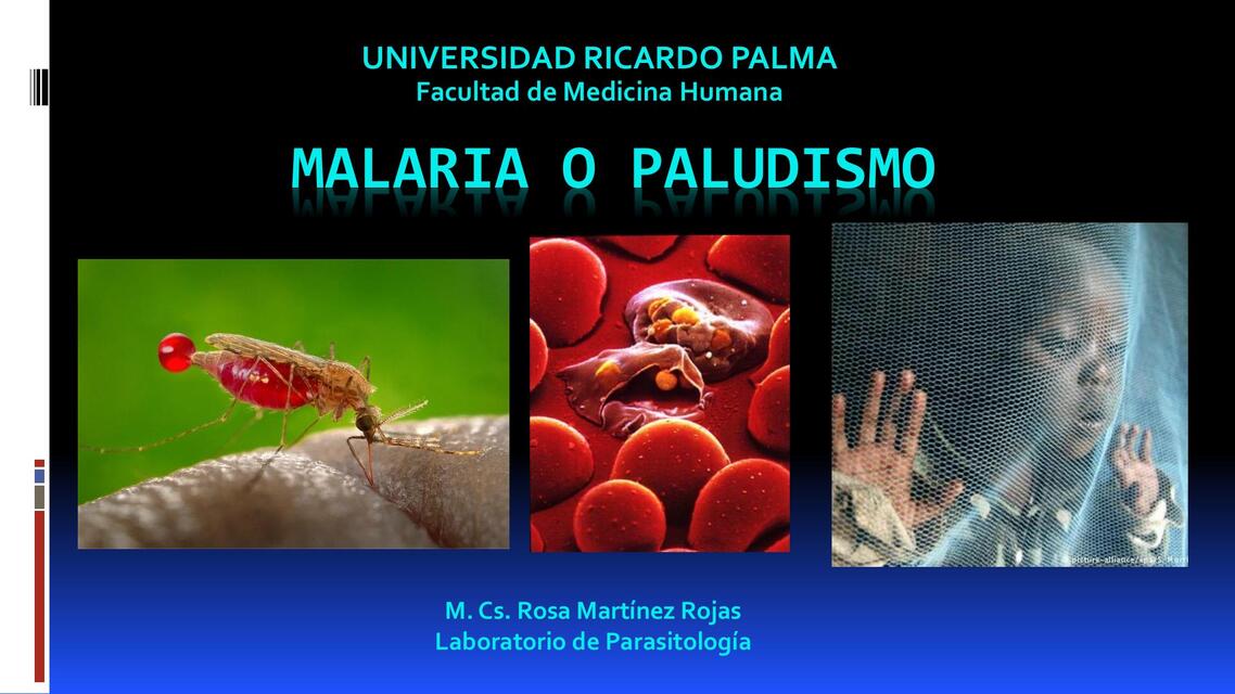 PPT Teoría Parasitología