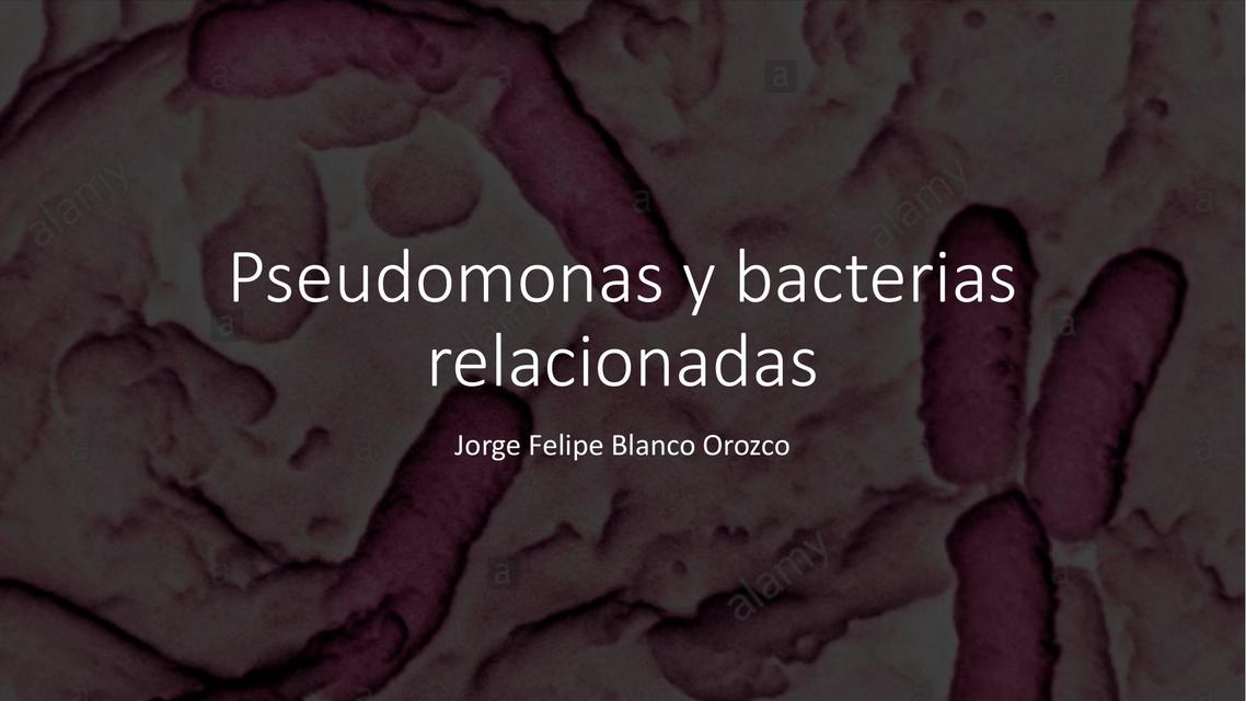 Pseudomonas y Bacterias Relacionadas