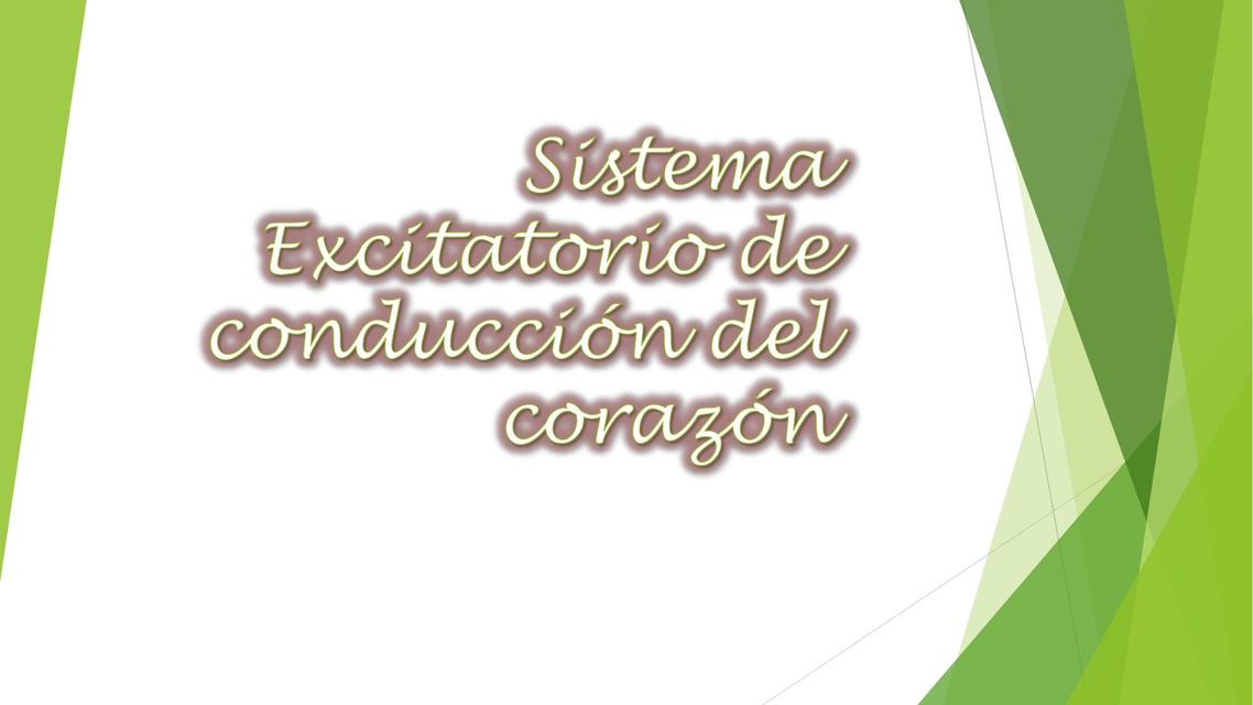  SISTEMA DE EXCITACIÓN DEL CORAZÓN