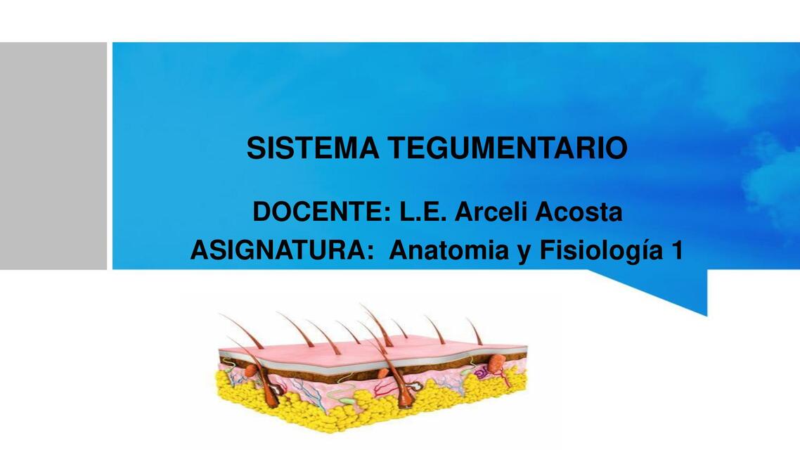 SISTEMA TEGUMENTARIO