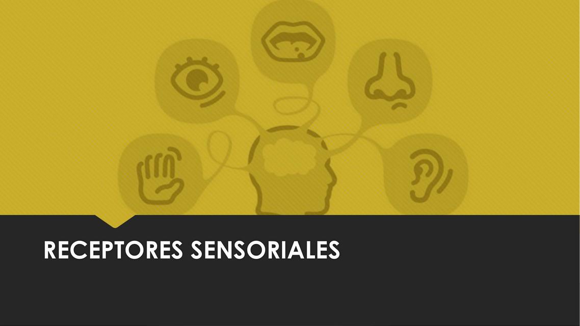 Receptores Sensoriales