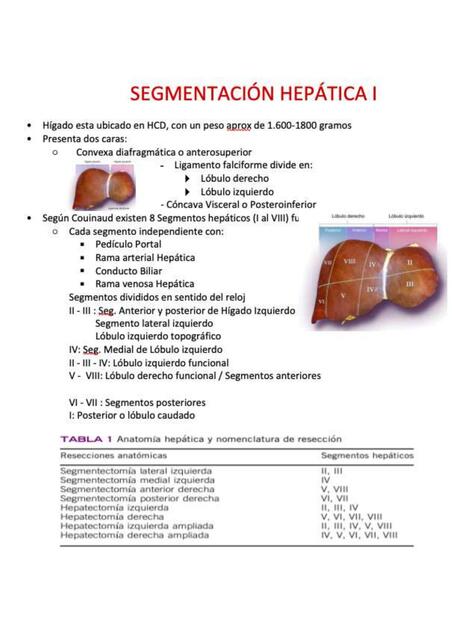 SEGMENTACIÓN HEPÁTICA I