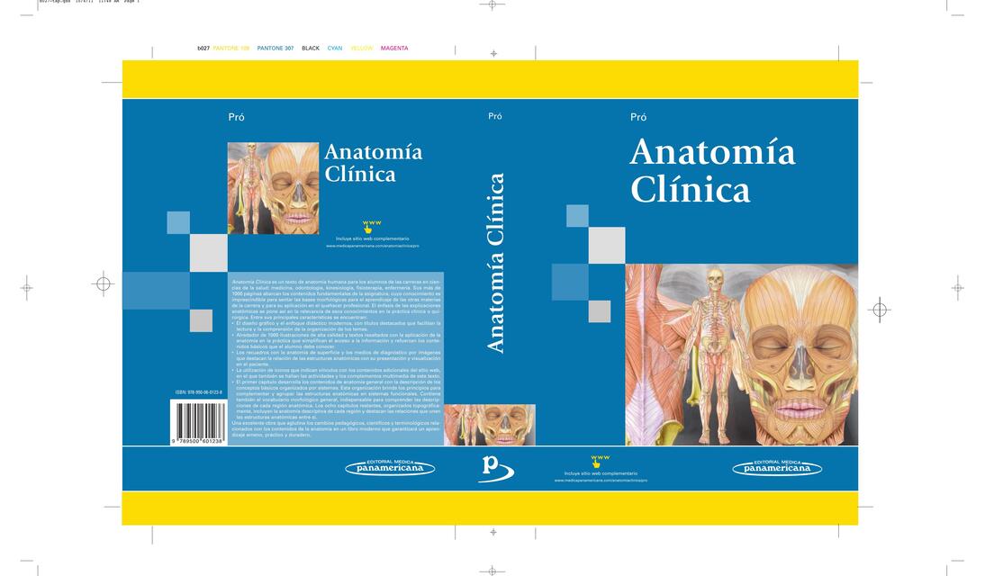 ANATOMÍA clinica