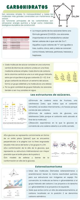 Carbohidratos