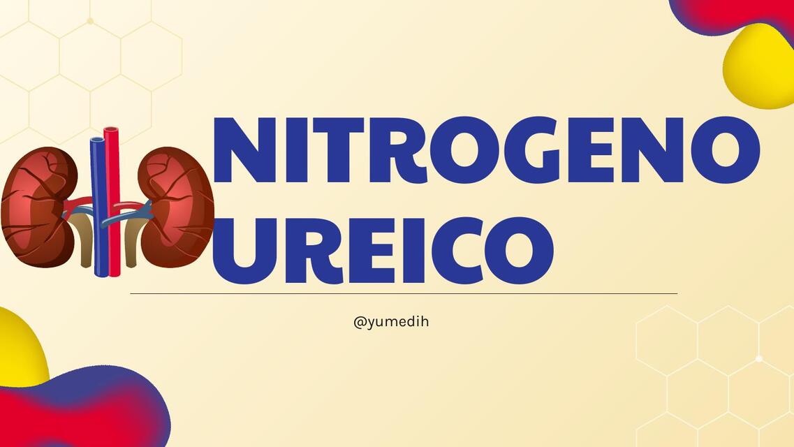 NITROGENO UREICO ENSANGRE