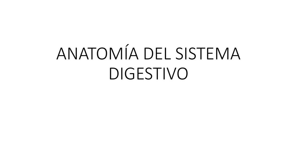 ANATOMÍA DEL SISTEMA DIGESTIVO