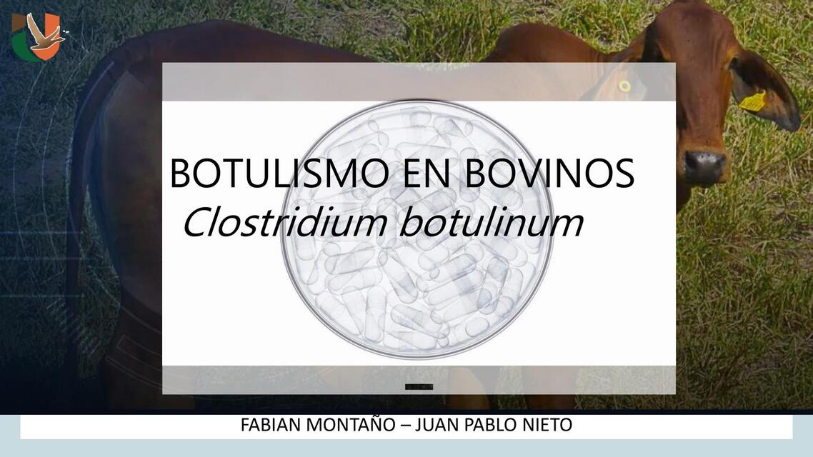 BOTULISMO