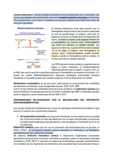 Sistema Diaforásico