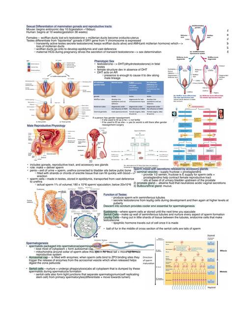 Reproductive SystemNPB101