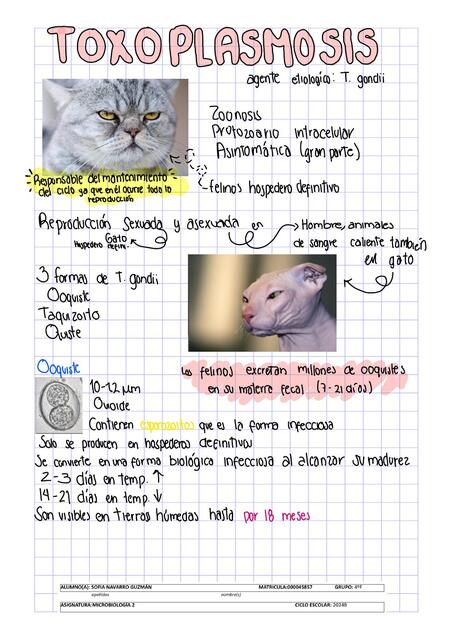 Toxoplasmosis