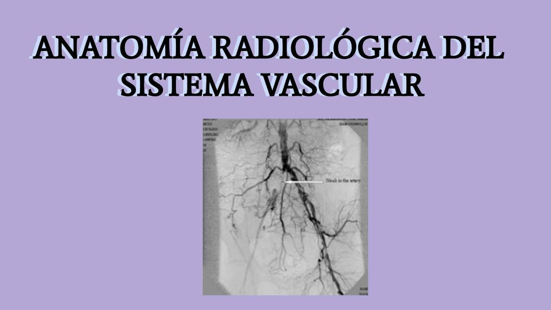 SISTEMA VASCULAR