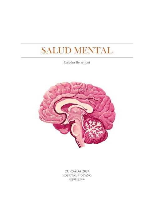 Resumen Salud mental Htal. Moyano