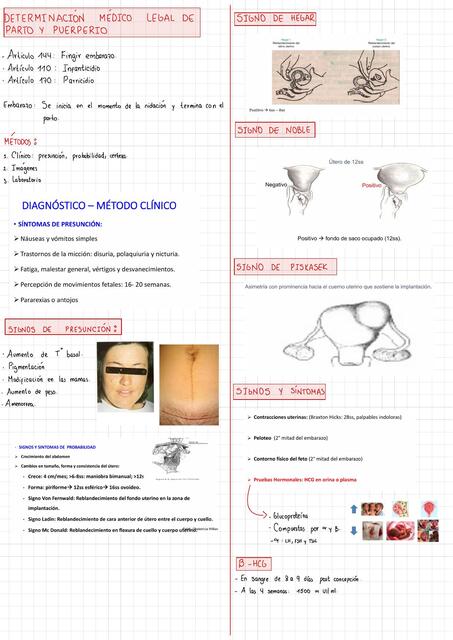 Resumen Obstetricia forense