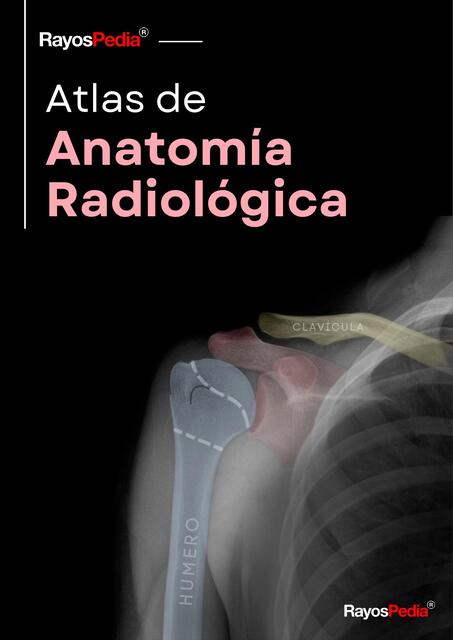 Anatomía Radiológica Rayospedia