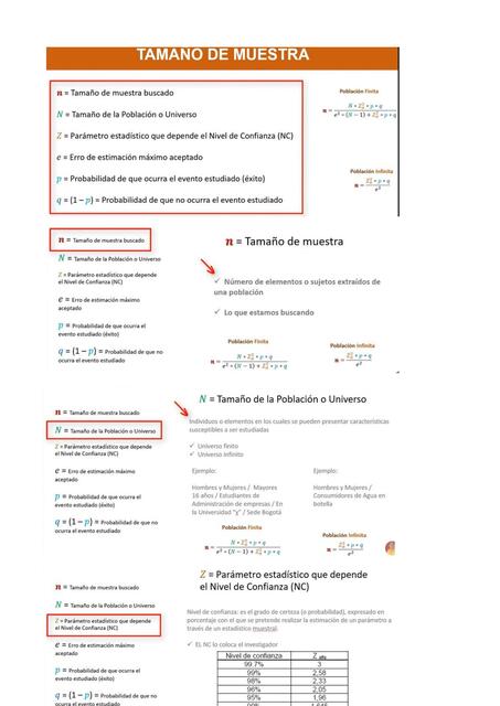 Calculo Tamaño de Muestra n100 PABLO