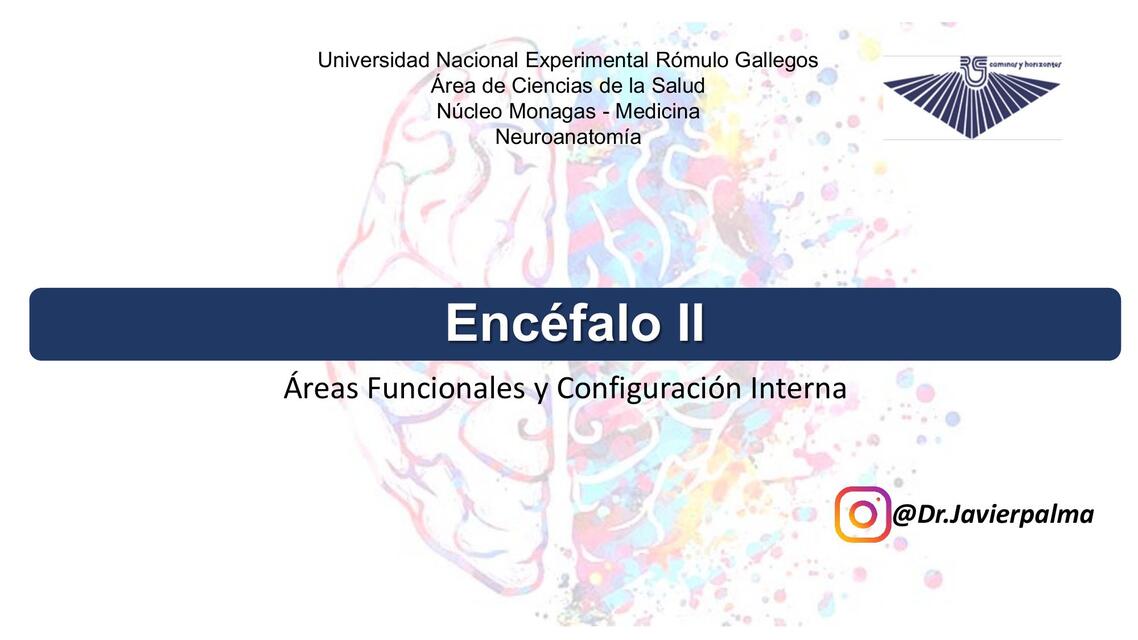 Encéfalo II