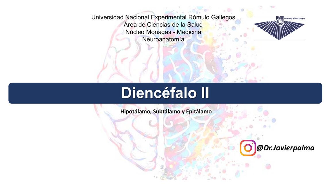 Diencéfalo II