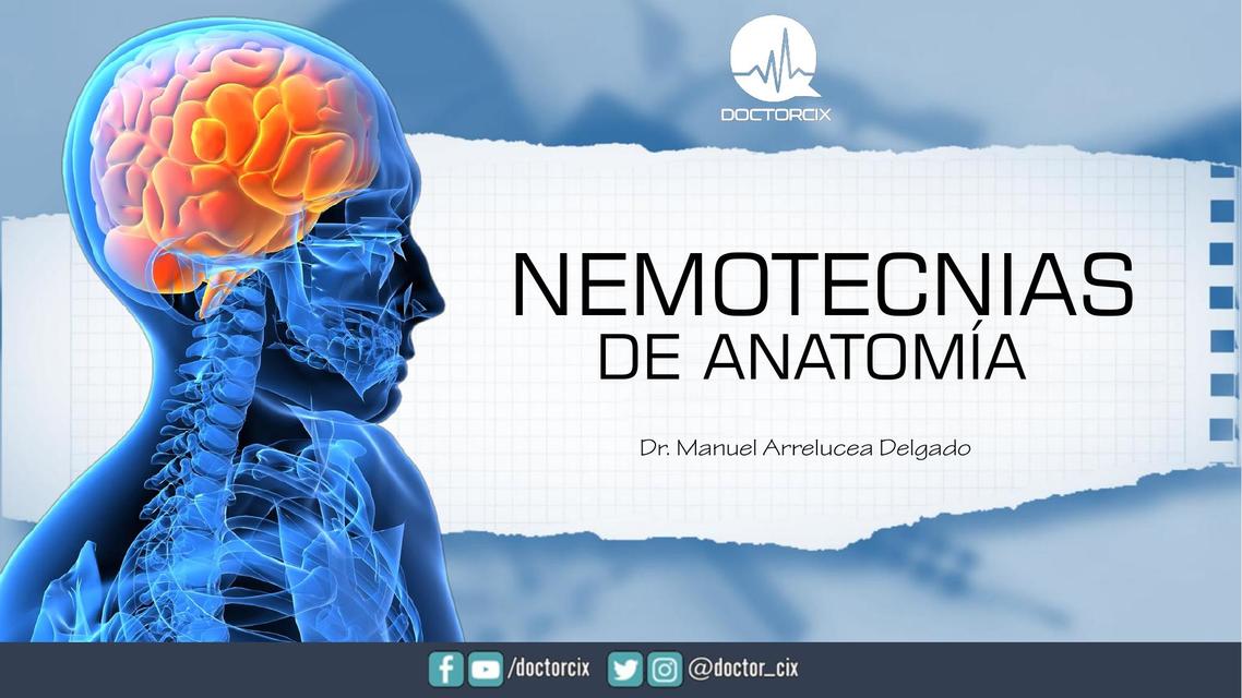 NEMOTECNIAS DE ANATOMIA