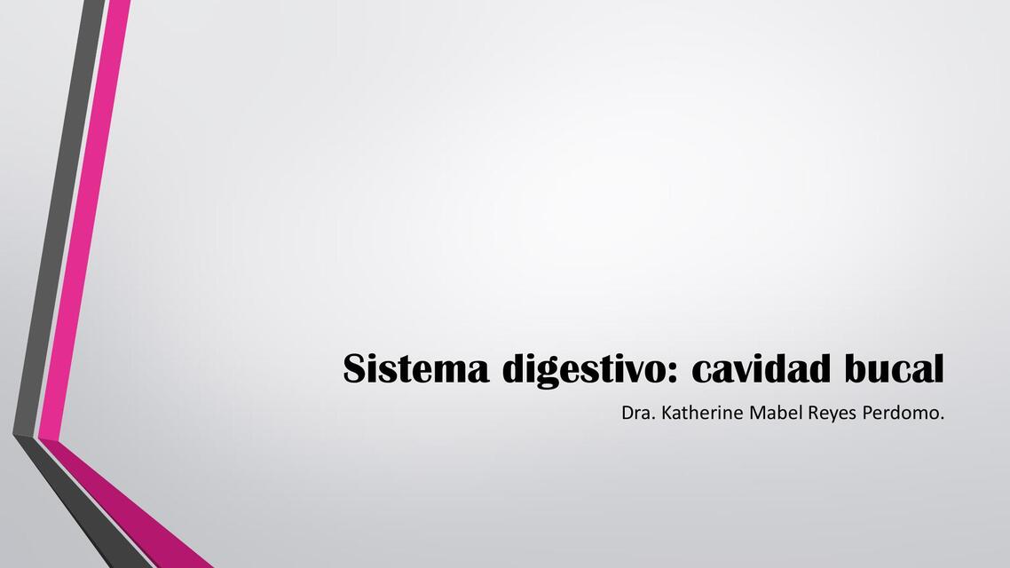 Sistema digestivo