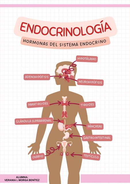 HORMONAS DEL SISTEMA ENDOCRINO