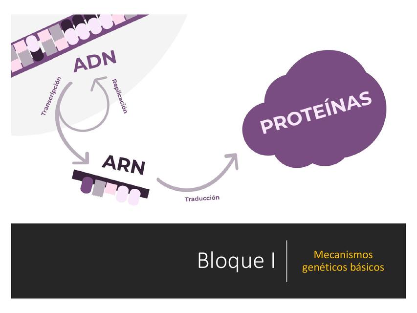 Introduccion a mecanismos genéticos básicos 1