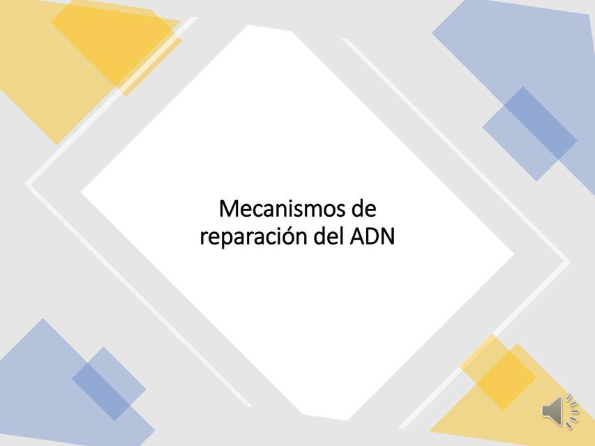 Mecanismos de reparación del ADN