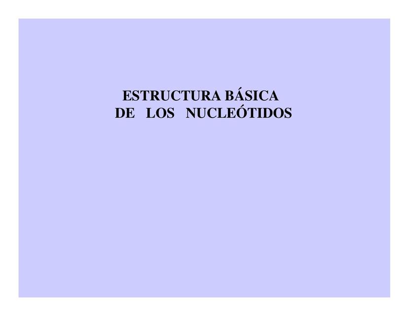 Estructura de nucleótidos