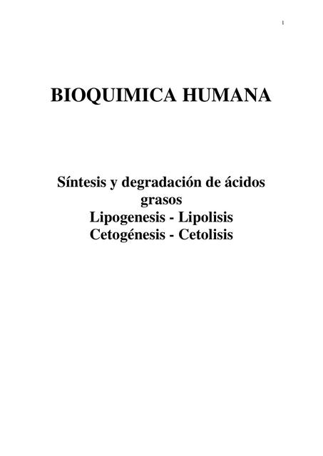 Lipolisis y lipogénesis