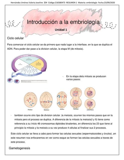 Resumen semana1 embrio