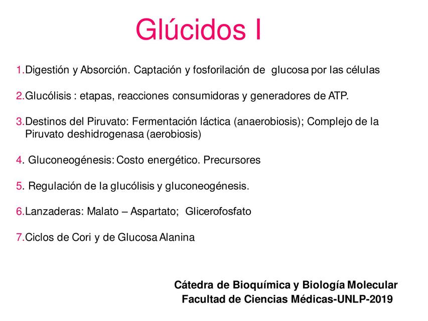 Seminario de Glúcidos 