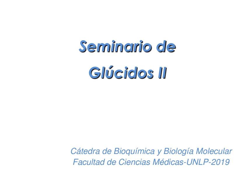 Seminario de Glucidos II