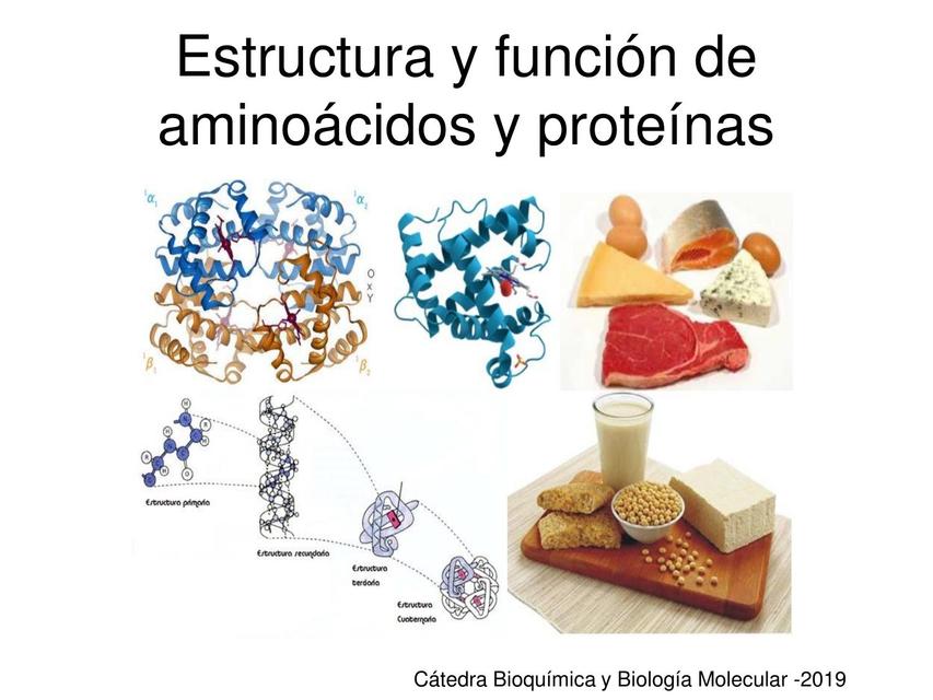 SEMINARIO 2 AA y PROTEINAS