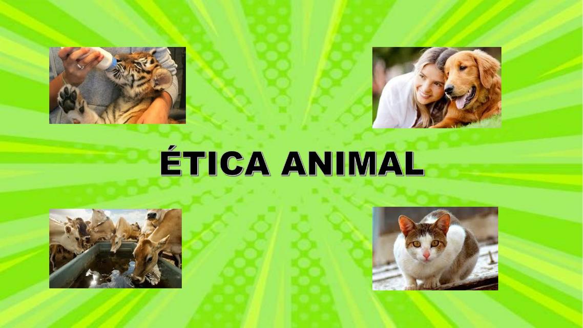 Ética Animal 