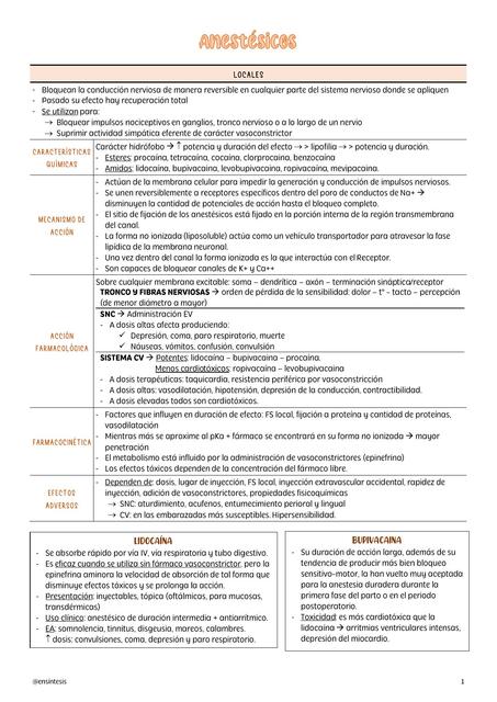 Uso de anestésicos locales durante el embarazo