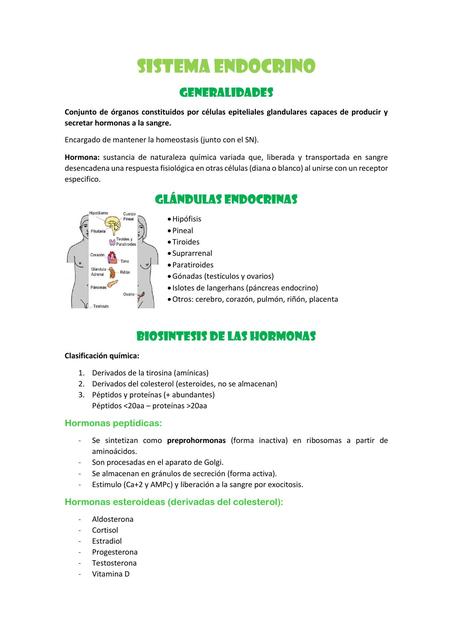 SISTEMA ENDOCRINO