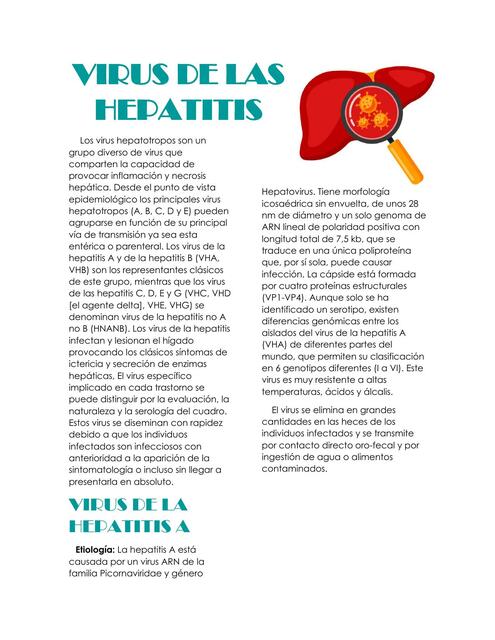 VIRUS DE LAS HEPATITIS A Y E