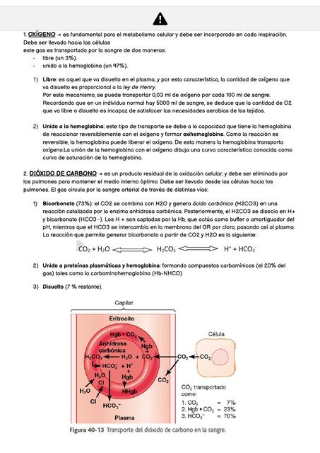 up 5 fisio transporte de gases