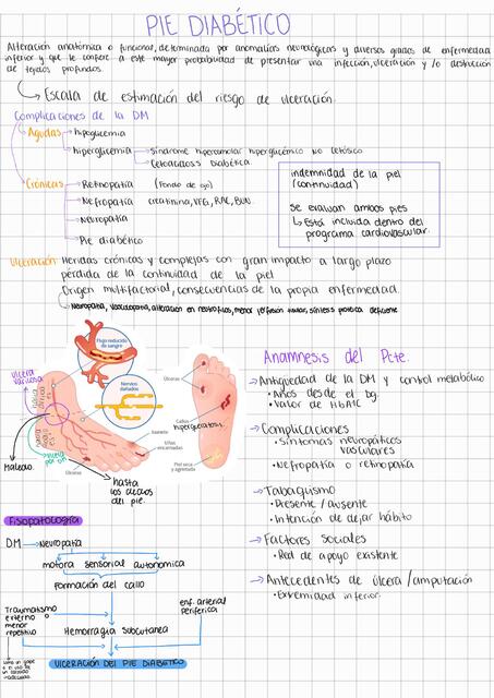 Pie diabetico dislipidemia y ERC