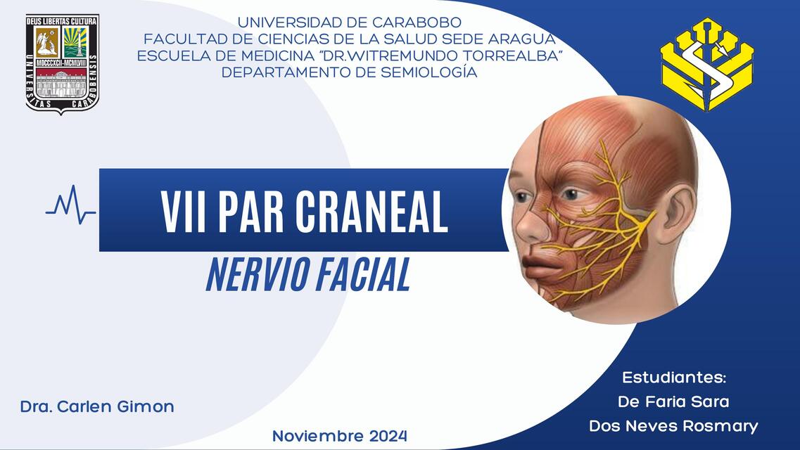 Seminario de Nervio Facial VII