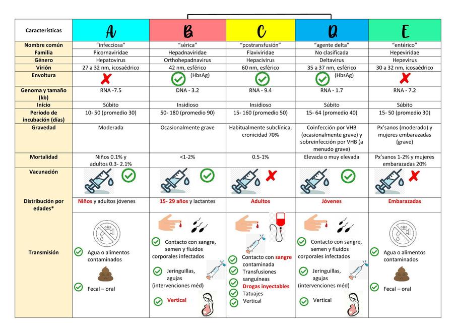 Hepatitis | Ética Médica | Salud | UDocz