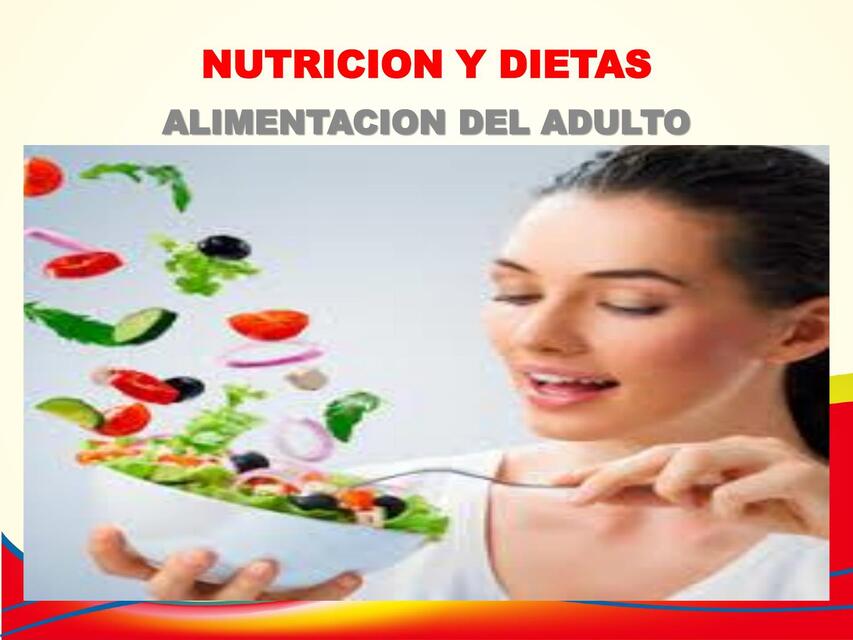 2 DIAPOSITIVAS ALIMENTACION ADULTO