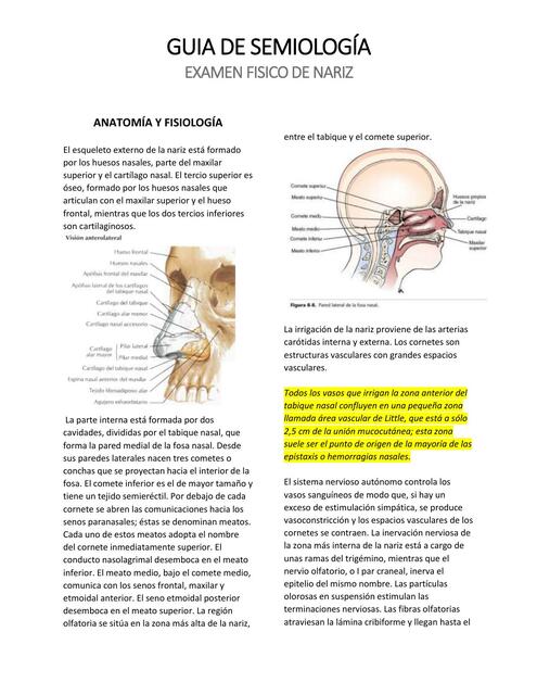 EXAMEN FISICO NARIZ